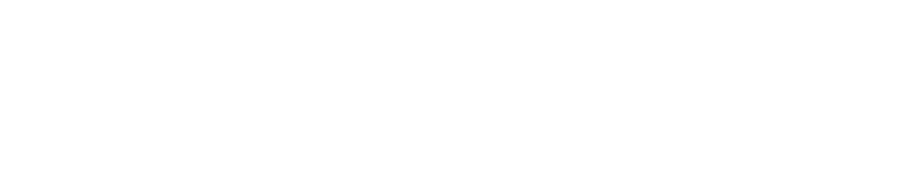 CEN Logo CEN Logo in white